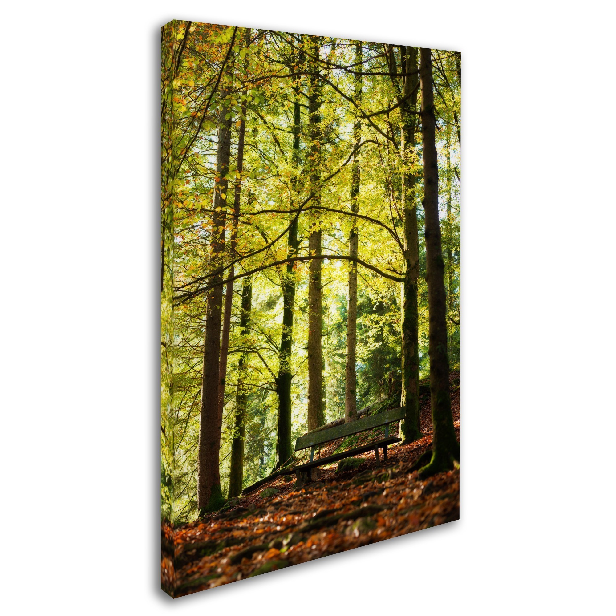 Trademark Fine Art "Pause" Canvas Art by Philippe Sainte-Laudy