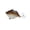 D#040, variant on VIB Fish Lure 4.5cm 8.5g Flatfish Design with Vibration Action for Deep Water Fishing in Freshwater and Saltwater Metal Jig for Bass and Predator Fish Set of 2
