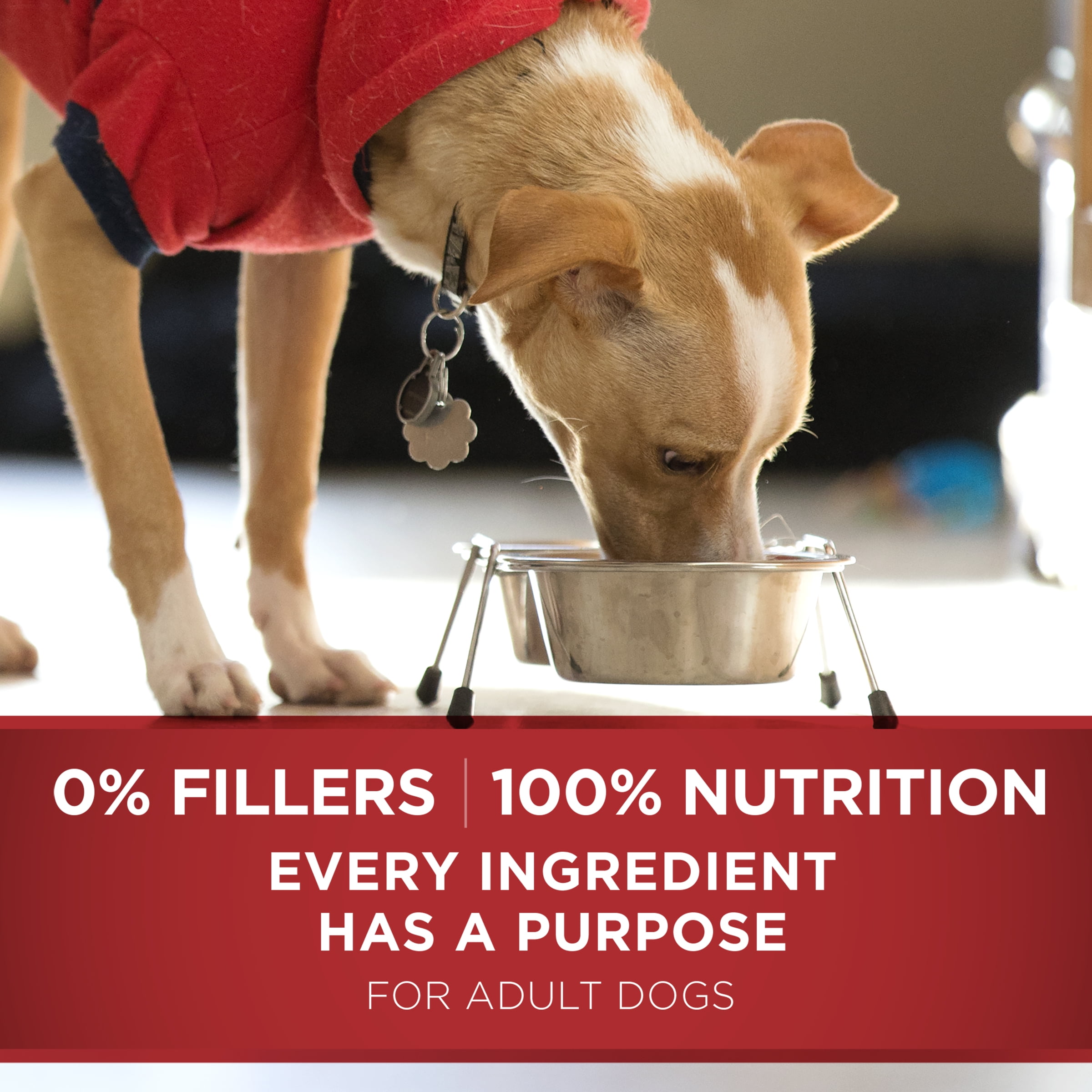 purina one small bites beef and rice