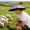 Purple#1846, variant on Hands Free Adjustable Umbrella Hat for Fishing Hiking and Gardening Waterproof UV Rain Protection Foldable Head Mounted Sun Shade Cap Headwear