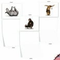 thumbnail image 5 of 20 Blank All Occasion Cards Assorted (10 Designs, 2 Each) - Zoo Yoga All Occasion (4" x 5.12") AM6547OCB-B2x10, 5 of 6
