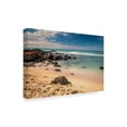 thumbnail image 2 of Trademark Fine Art 'Baby Beach Honu' Canvas Art by Pierre Leclerc, 2 of 3