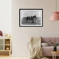 thumbnail image 3 of Historic Framed Print, The horse wrangler.Erwin E. Smith, Bonham, Texas., 17-7/8" x 21-7/8", 3 of 9