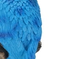 thumbnail image 7 of Broco Realistic Resin Parrot Garden Statue, 1 Count, 7 of 7