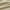 Khaki, variant on Elastic Wrap Around Bed Skirt Dust Ruffle Smooth Soft Bed Frame Cover 15-inch Drop (Queen, White)