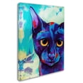 thumbnail image 2 of Trademark Fine Art 'Cameo Cat' Canvas Art by Corina St. Martin, 2 of 3