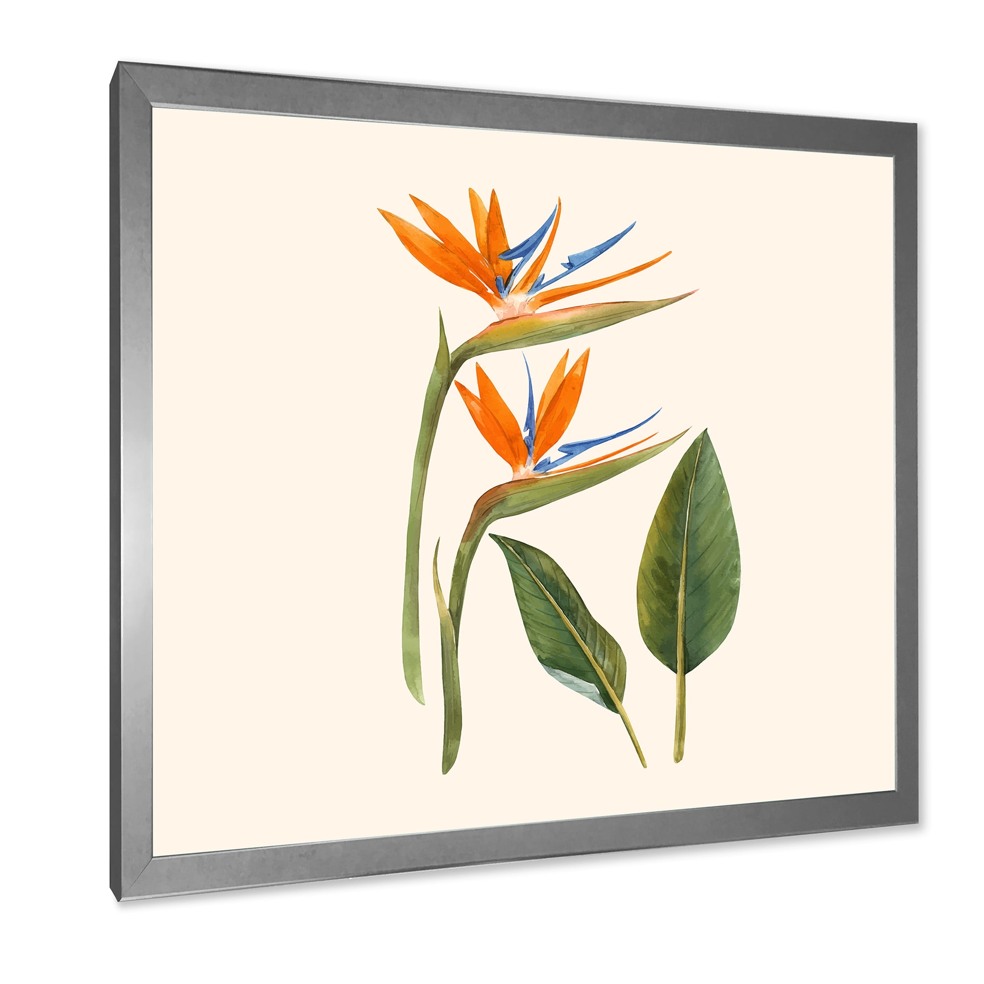 Designart 'Ancient Strelitzia Flowers' Traditional Framed Art Print