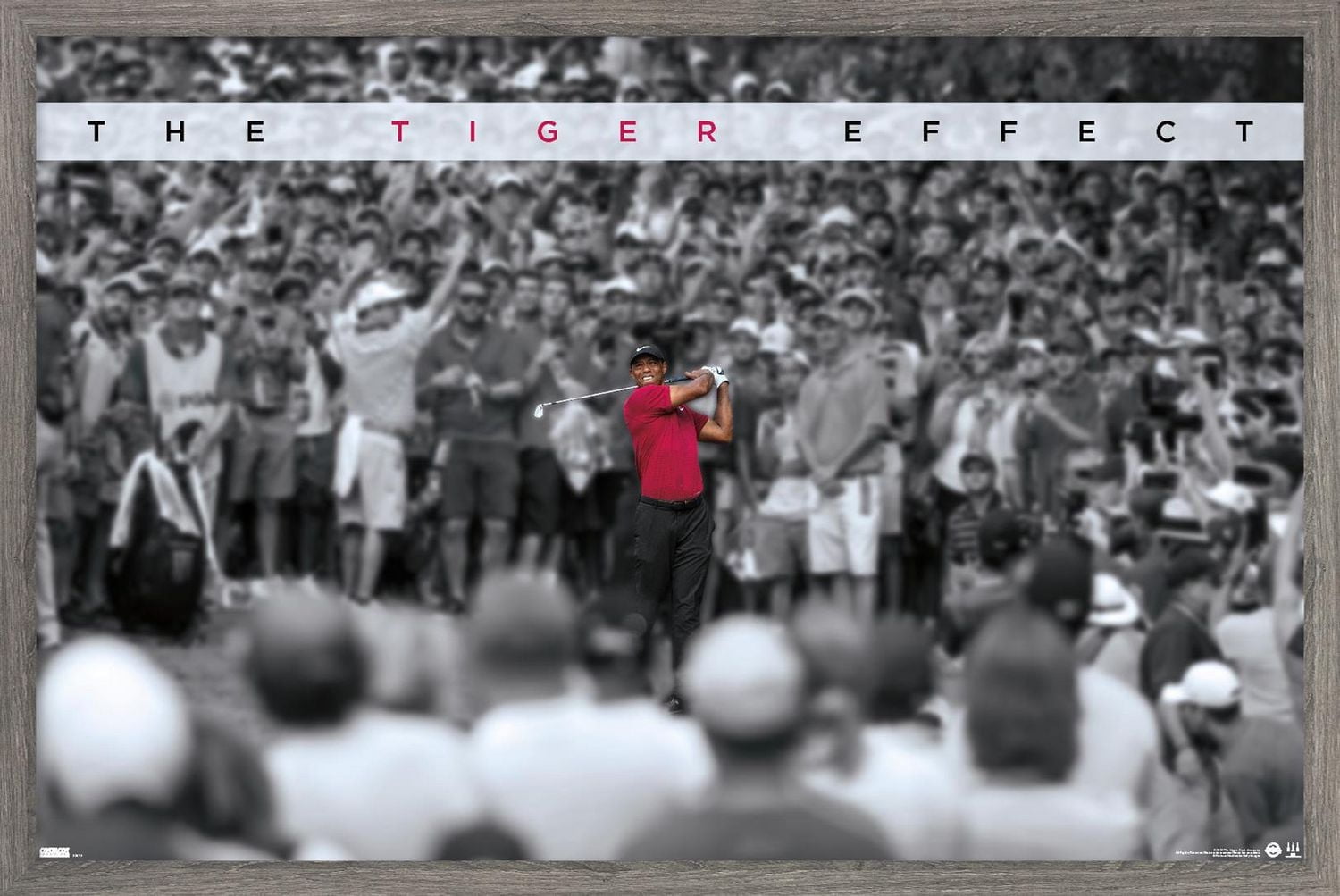 Tiger Woods - The Tiger Effect Wall Poster