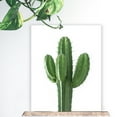 thumbnail image 3 of Tall Cactus Plant Succulent, 3 of 8