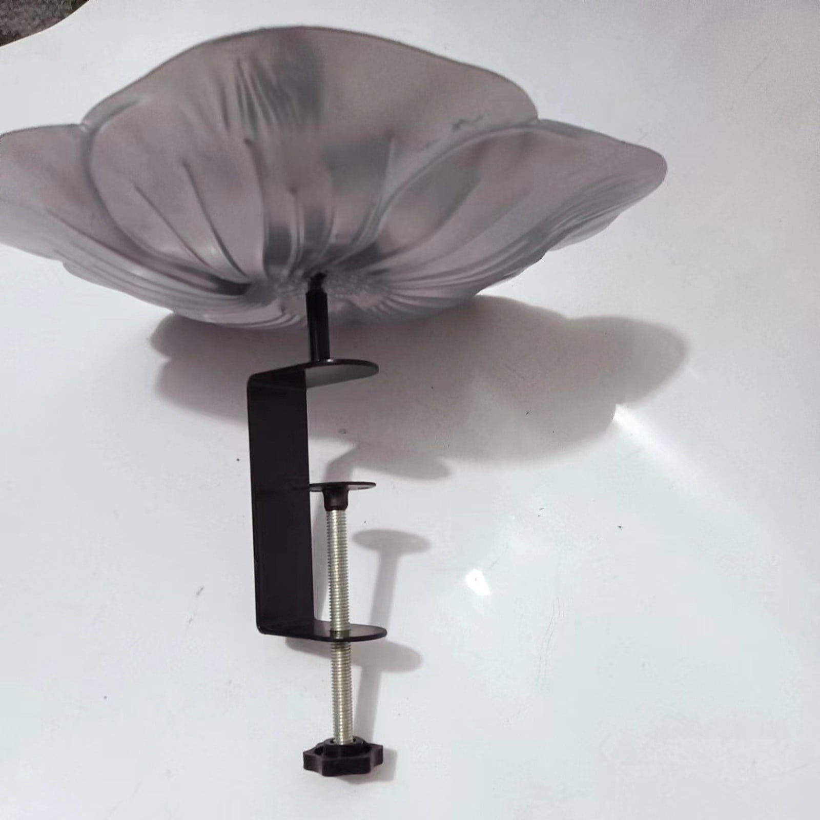 Window Mounted Clear Bird Feeder Wall Attached Cage Feeding Station