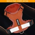 thumbnail image 6 of Luxtrada Dog Harness and Leash No Choke Reflective Pet Vest Adjustable Breathable Mesh Harnesses with Leash for Small Medium Dogs Cats Walking (Orange,L), 6 of 9