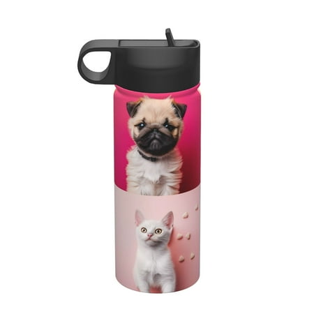 

KLL Colorful Dog Cat Collage Pattern 18OZ Water Bottle With Straw Stainless Steel Sports Water Cup Flask Sports Water Cup Flask Wide Mouth Travel Thermal Mug