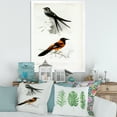 thumbnail image 3 of Designart 'Ancient Bird II' Traditional Framed Art Print, 3 of 4