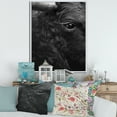 thumbnail image 2 of Designart 'Close Up Of Eye Of A Bull' Farmhouse Framed Canvas Wall Art Print, 2 of 5