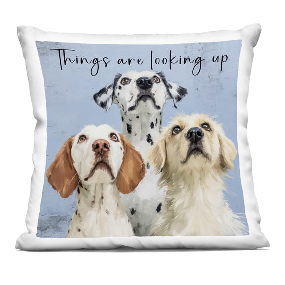 Stupell Industries Things Are Looking Up Decorative Printed Throw Pillow, design by Kim Curinga, 18 x 7 x 18