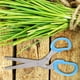 thumbnail image 3 of Tijeras de Cocina Amonsee de acero Inoxidable 5 Capas color azul, 3 of 7