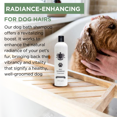 thumbnail image 3 of CMR Cosmetics  Pet Shampoo - Silk Smooth  for Dogs and Cats - Ingredients for Sensitive Skin, 3 of 8