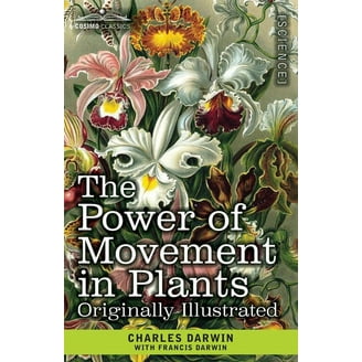 Darwin's Most Wonderful Plants: A Tour of His Botanical Legacy, (Hardcover)  - Walmart.com