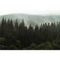 thumbnail image 2 of Idea4wall 4pcs Woodland Forest Fir Trees Nursery Decor Stick Wallpaper Removable Wall Murals Large Wall Stickers for Home Decoration, 66"x96", 2 of 5