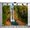 5x3ft, variant on Twin waterfalls lush jungle backdrop | Polyester fabric banner curtain, suitable for themed parties, outings, picnics, celebrations, and studio props