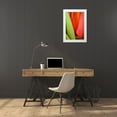 thumbnail image 3 of Peterson, Lee 23x32 White Modern Wood Framed Museum Art Print Titled - Tulip Detail I, 3 of 4