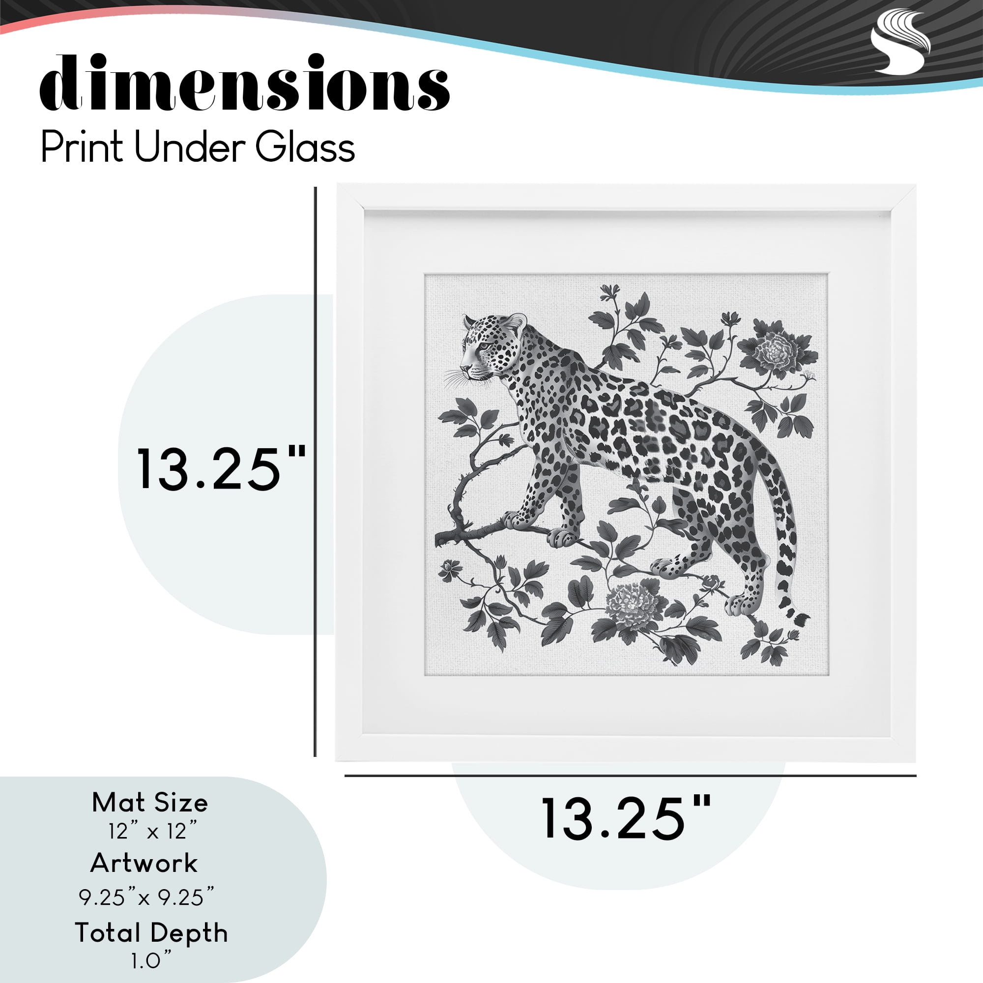 Monochrome Detail Leopard White Framed Print Under Glass, design by Lettered and Lined