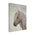 thumbnail image 2 of Trademark Fine Art 'Horse Beige with Ribbons' Canvas Art by Fab Funky, 2 of 3