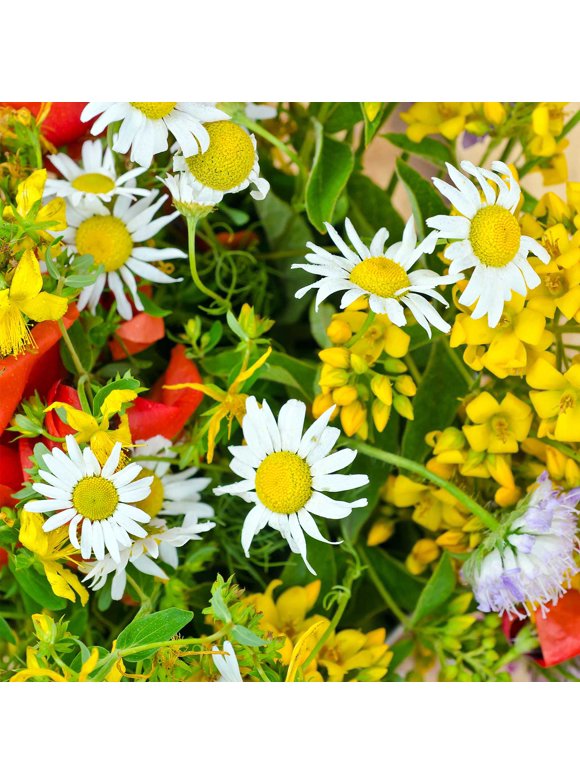 Wildflower Mix Flower Seeds in Seed Gardening