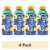 (4 pack) Capri Sun Pacific Cooler Mixed Fruit Flavored Juice Drink Blend from concentrate, 12 oz Bottle