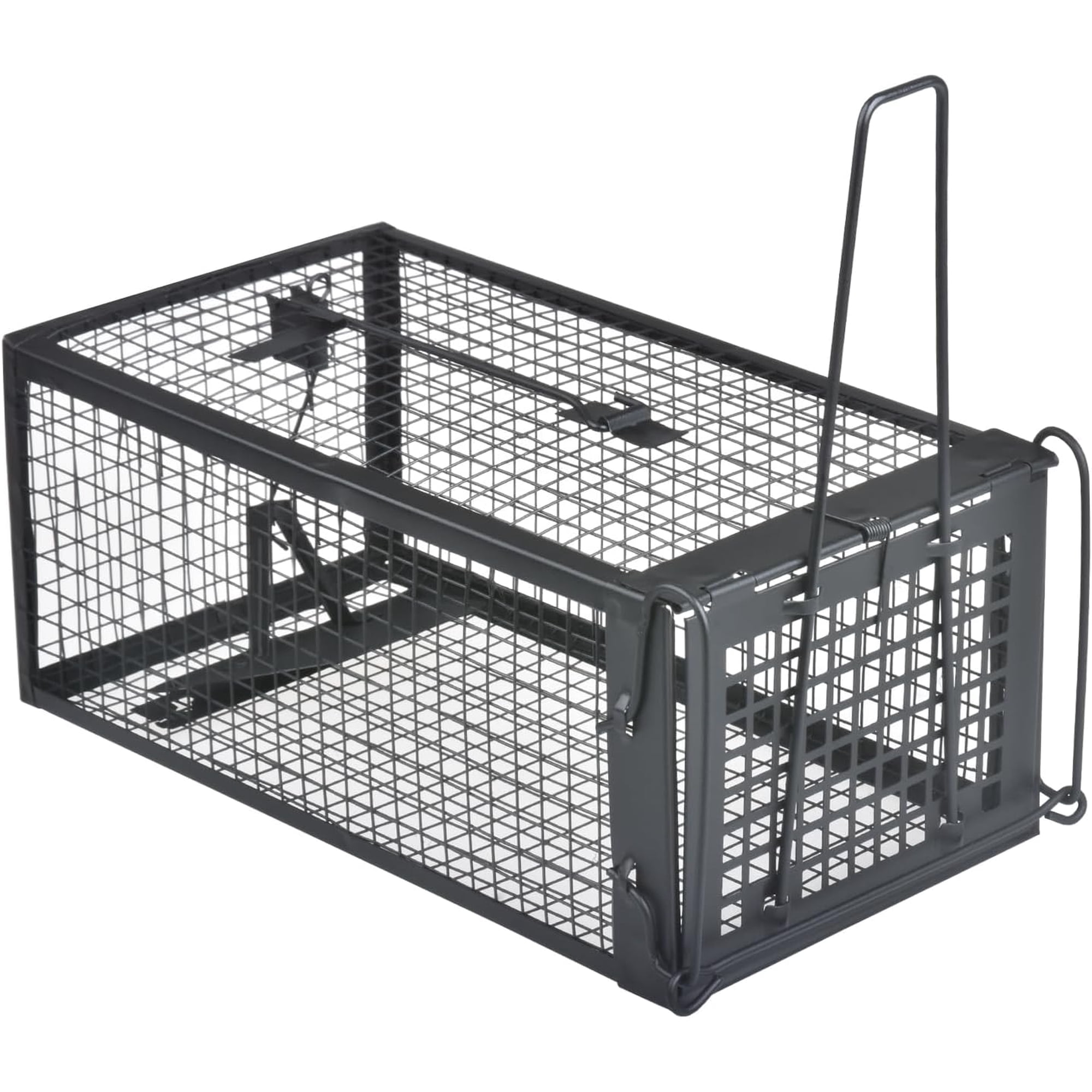 Gingbau Live Chipmunk Rat Trap Humane Vole Mouse Cage Trap