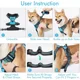 thumbnail image 4 of Arnés Para Perros Pequeños Y Grandes Con Correa Ajustable, 4 of 8