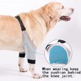thumbnail image 5 of Protector de codo para perro, traje de recuperación para patas delanteras, alternativa de Collar para dejar de lamer heridas en el codo, funda para codo XL, 5 of 5