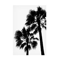 Trademark Fine Art Pictufy Studio III Palm Contrast Canvas Wall Art