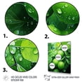thumbnail image 3 of Designart "Lime Serenity Orchard II" Food & Beverage Canvas Wall Art - Traditional Green Fruits Entryway Wall Art Print, 3 of 6