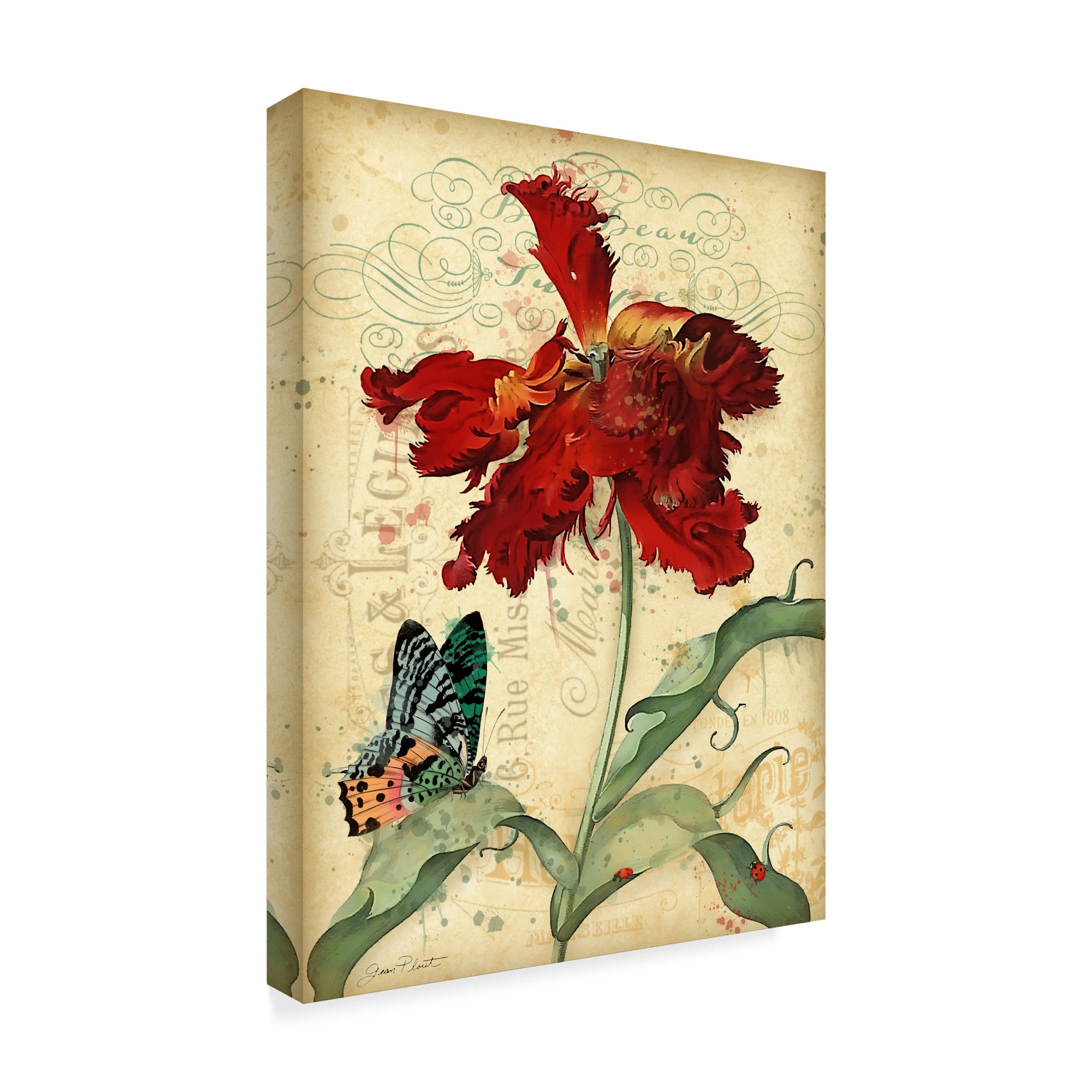 Trademark Fine Art 'French Florals 1' Canvas Art by Jean Plout