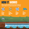 thumbnail image 4 of EcoStrong Leach and Drain Field Blast - Breaks Sludge, Removes Odors, 64 oz, 4 of 8