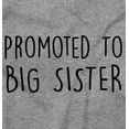 thumbnail image 2 of Promoted Big Sister Expecting Sibling Youth T Shirt Tee Girls Infant Toddler Brisco Brands 4T, 2 of 5