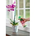 - Orchid Oasis: Miracle-Gro Orchid Mist For Vibrant Blooms