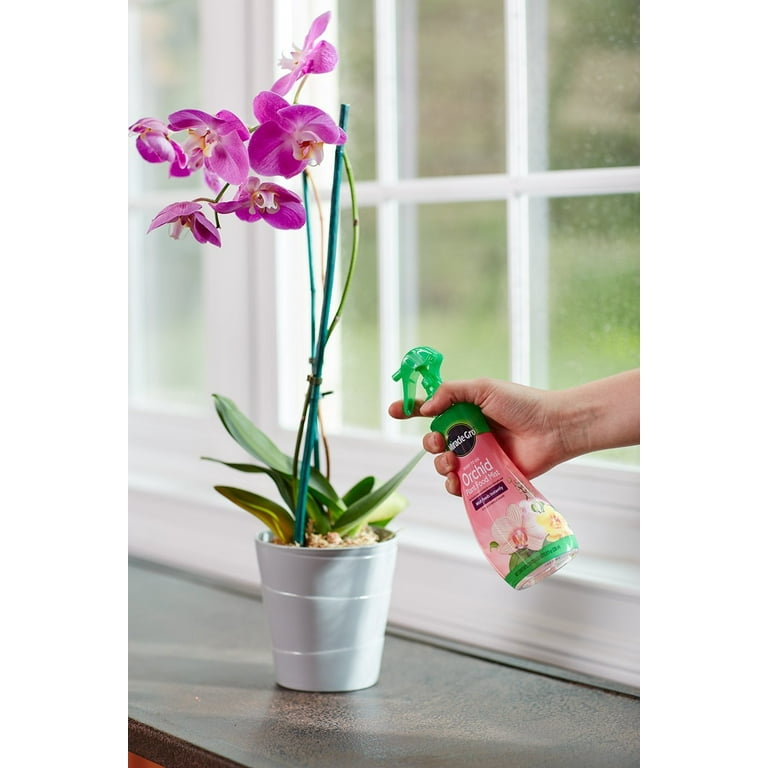 Miracle-Gro Ready-to-Use Orchid Plant Food Mist, 8 oz. - Walmart.com