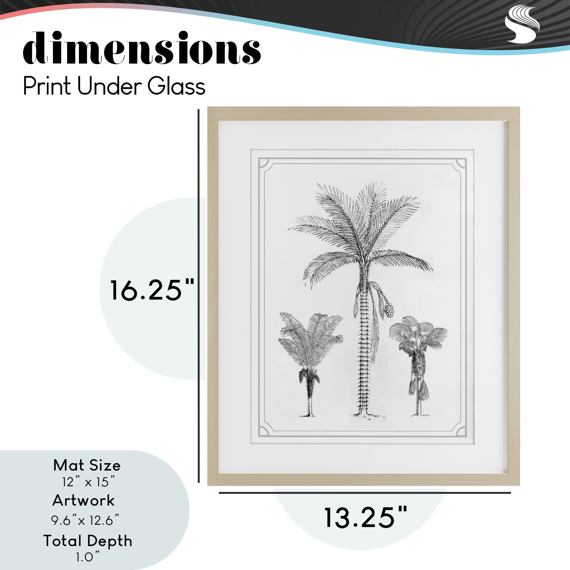 Palm Tree Trio Sketches Birch Framed Print Under Glass, design by Lettered and Lined