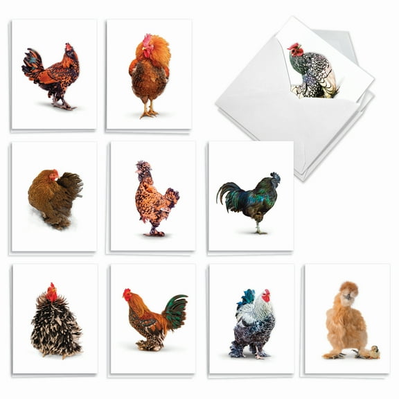 20 Blank All Occasion Cards Assorted (10 Designs, 2 Each) - Exotic Cocks All Occasion (4" x 5.12") AM7059OCB-B2x10