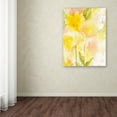 thumbnail image 3 of Sheila Golden 'Butterfly Silhouette' Canvas Art 18 x 24, 3 of 3