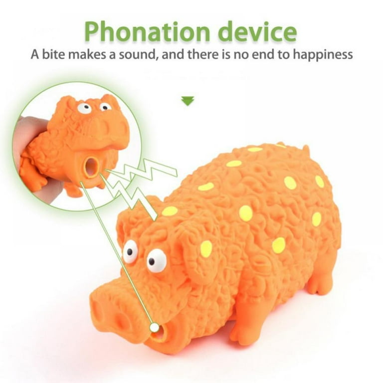 Why Does My Dog Always Make Grunting Noises