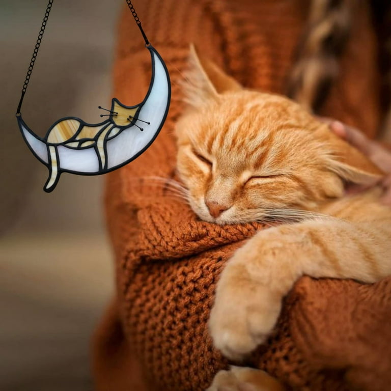 Cat themed clearance accessories