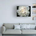 thumbnail image 2 of Trademark Fine Art Kurt Shaffer Perfect Peony Canvas Wall Art - 24x32, 2 of 5