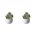 thumbnail image 1 of Toystoory Plantas suculentas artificiales Simulación Bonsai Fake Flower Crafts Garden Type3 NO3, 1 of 6