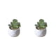 thumbnail image 2 of Billuyoard Simulación suculenta artificial Bonsai Flor falsa con suministros para macetas Type3 NO3, 2 of 6