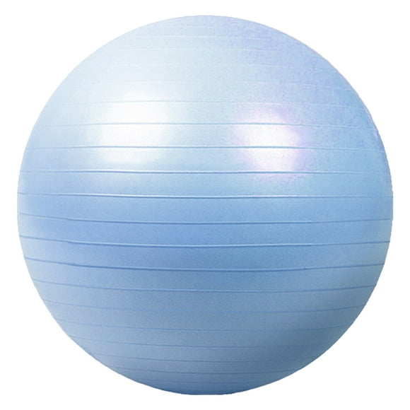 Exercise Ball Yoga Ball, Multiple Sizes Stability Ball Chair, Gym Grade Birthing Ball for Pregnancy, Fitness, Balance, Workout at Home, Office and Physical Therapy,sky blue,55cm