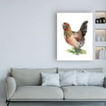 thumbnail image 3 of Trademark Fine Art 'Chicken Dance II' Canvas Art by Jennifer Paxton Parker, 3 of 3