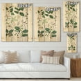 thumbnail image 4 of Designart 'Ancient Botanicals VIII' Traditional Print on Natural Pine Wood, 4 of 5
